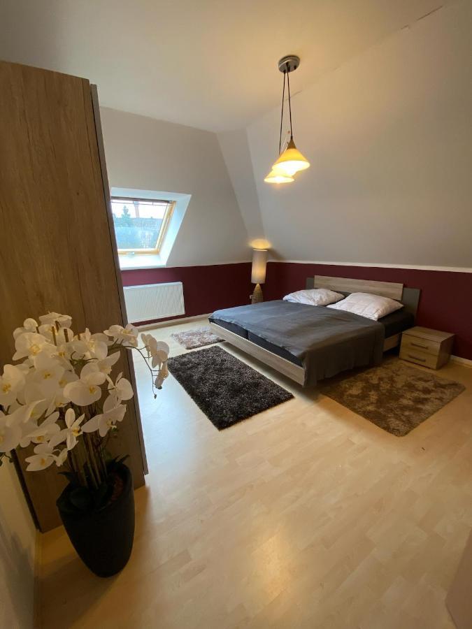 Ferienwohnung Oelzschau - Urlaub Im Leipziger Neuseenland Rötha Dış mekan fotoğraf